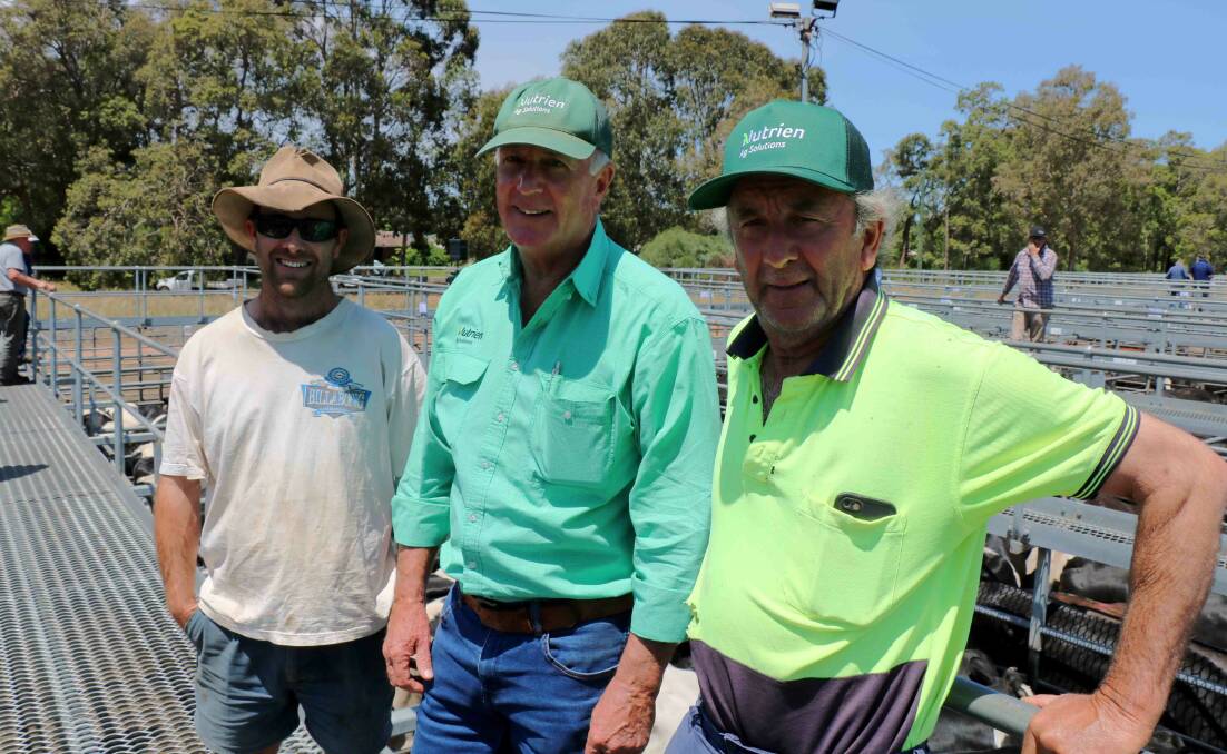Nutrien Livestock southern manager Bob Pumphrey (centre) with Darren (left) and Doug Walters, Busselton. Mr Pumphrey was active buying cattle for a lotfeeder client during the sale.