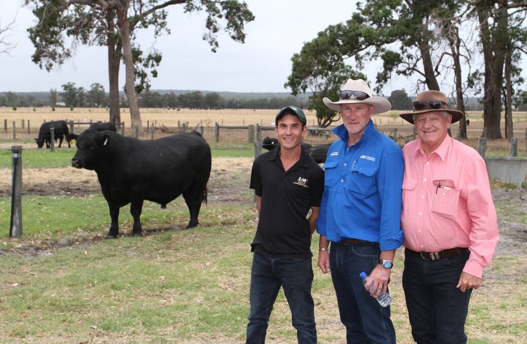 With the $16,500 top-priced bull Little Meadows Queenslander Q79 (by Baldridge Beast Mode 8074) at the annual Little Meadows Angus on-property bull sale at Dardanup last week were Mostyn Golding (left), Little Meadows stud, Daniel Delaney, Delaney Livestock Services and Deane Allen, Elders Donnybrook and stud stock. The bull was purchased by a Dandaragan buyer on AuctionsPlus.