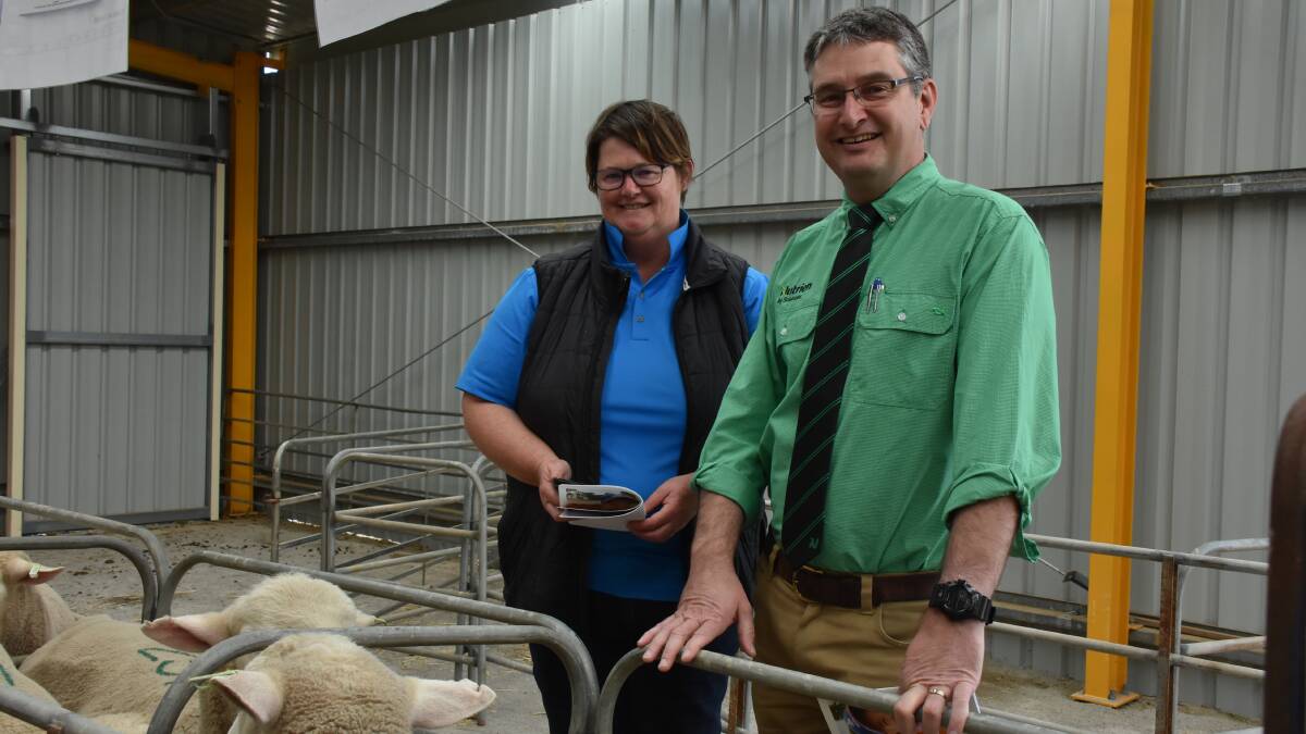 Tanalan stud principal Tanya Hill discusses her White Suffolk composite rams which were on offer in the sale with Nutrien Ag Solutions Esperance branch manager Jason O'Neill.