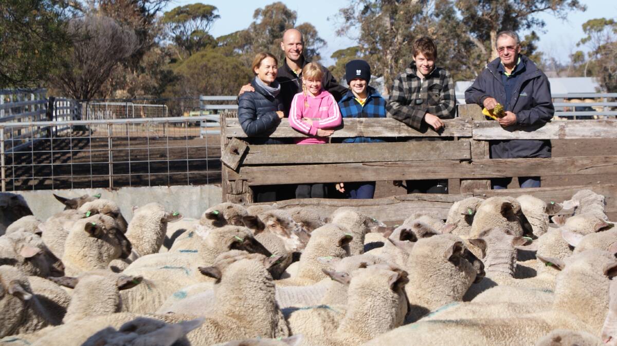 Damian Shackley (second left) with wife Penny, father Barry and children Emma, James and Shaun and some of the family's top-scoring Suffolk-Merino lambs which helped the family be awarded the WAMMCO Producer of the Month title for April.