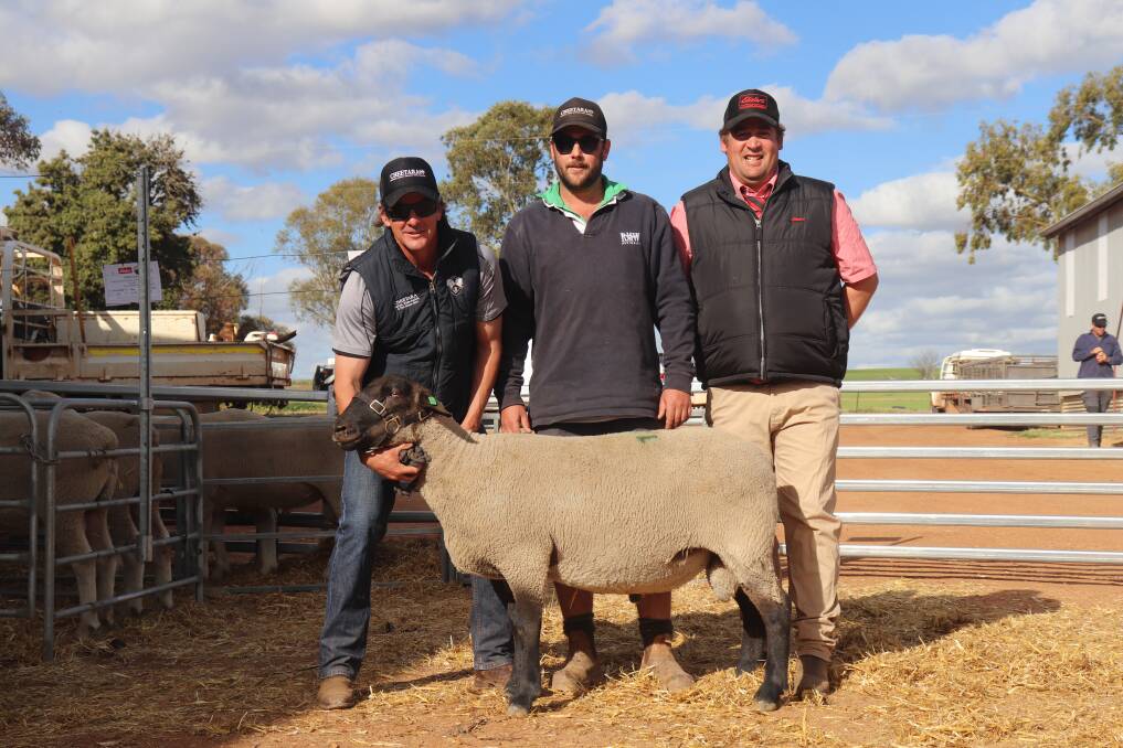 Cheetara stud principal Nick Cheetham (left), Jake Cole, Narembeen and Colin Ogilivie, Elders Narembeen, with the $1100 top-priced Suffolk ram.