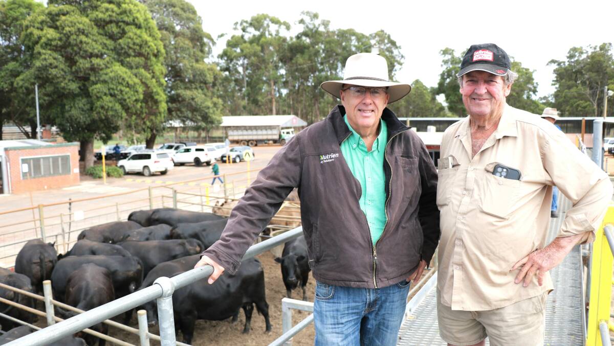 Nutrien Livestock South West livestock manager Mark McKay (left), before the sale with buyer Kim Tuckey, Kookabrook Livestock, Pinjarra. Kookabrook Livestock bought several of the heavy cattle at the sale.