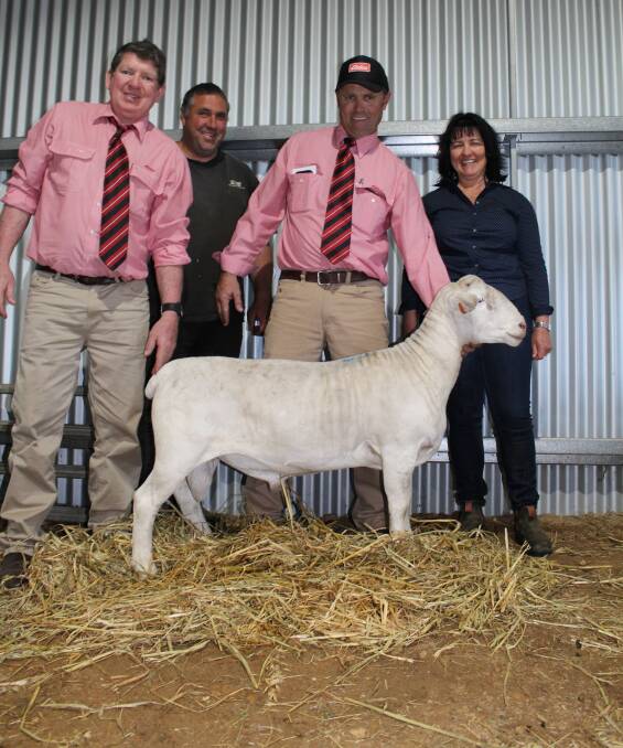 With the $1500 top price White Dorper ram at the Royston White Dorper ram sale on Monday was Elders Boyup Brook agent and prime lamb specialist Michael O'Neill (left), top price buyer Damon Parker, Parker Farms, Kalgan, Elders Mt Barker agent Dean Wallinger and Royston stud principal Sandy Forbes.