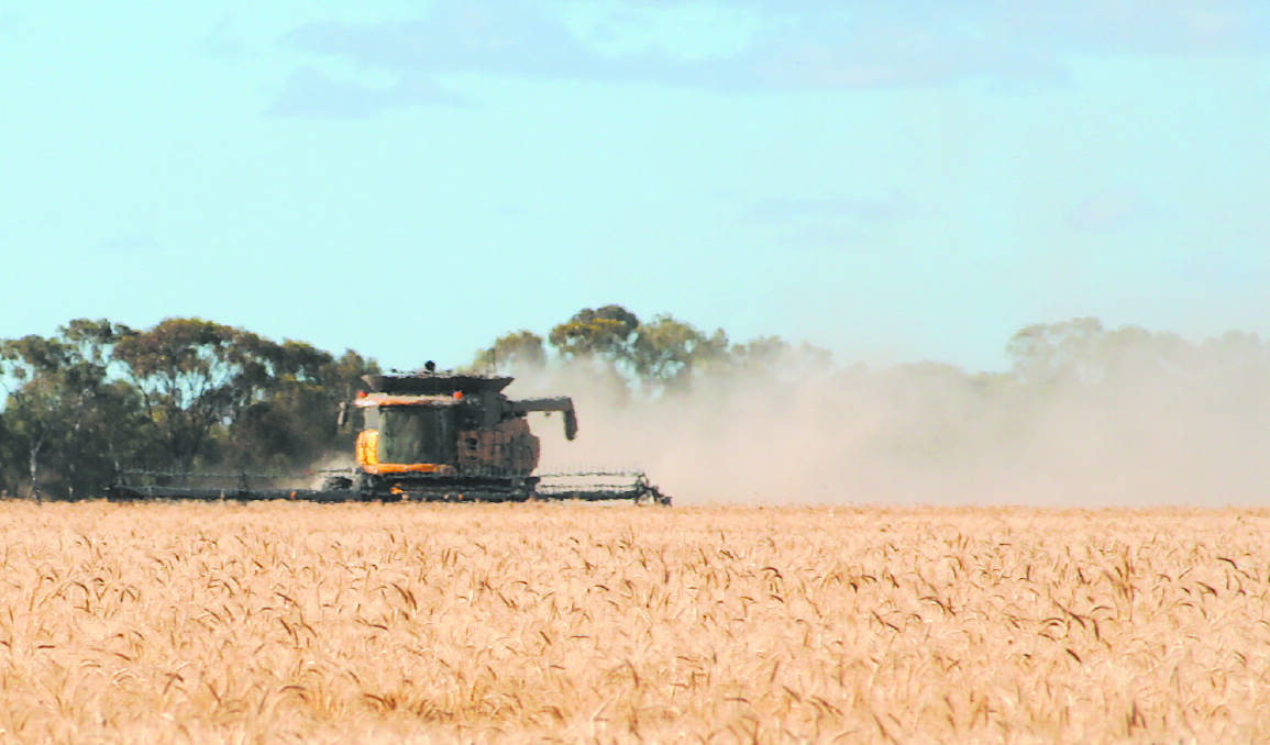 Most grain production set to stay in Australia