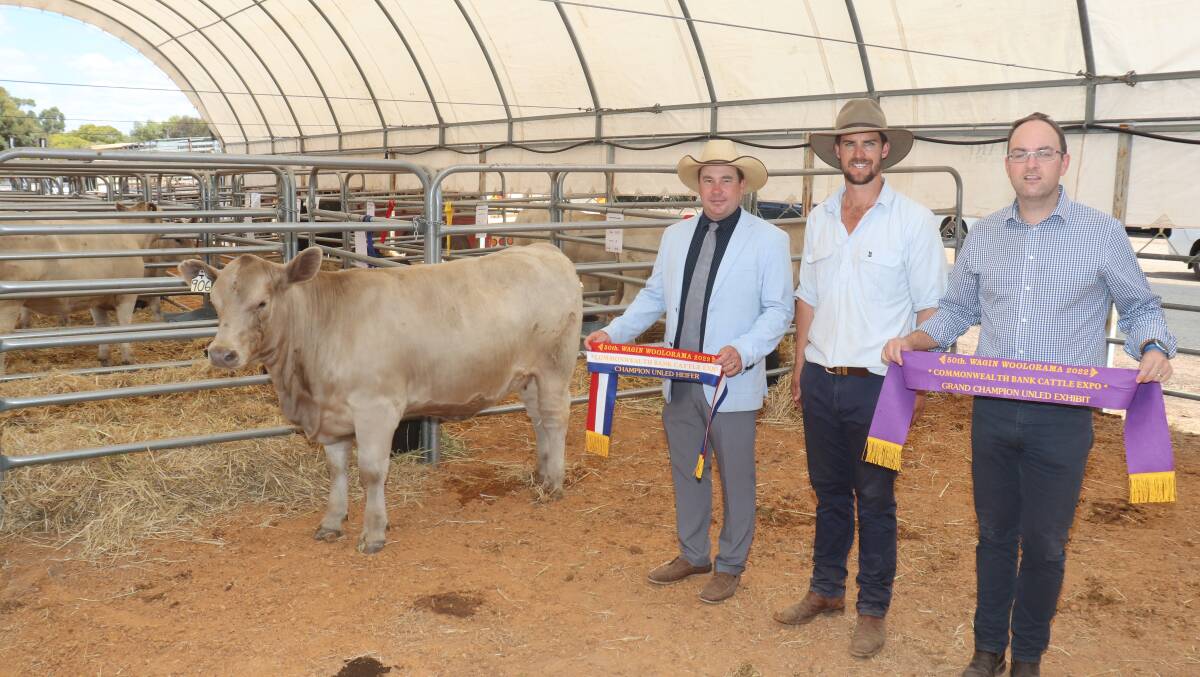 The grand champion unled exhibit at the Commonwealth Bank Cattle Expo at this years Wagin Woolorama was exhibited by the Wise familys Southend Murray Grey stud, Katanning. With the champion heifer Southend Vanessa were judge Rob Onley (left), Candy Mountain Cattle, Noorat, Victoria, with Southend stud principal Kurt Wise and sponsor and Unigrain co-chief executive officer Andrew May.