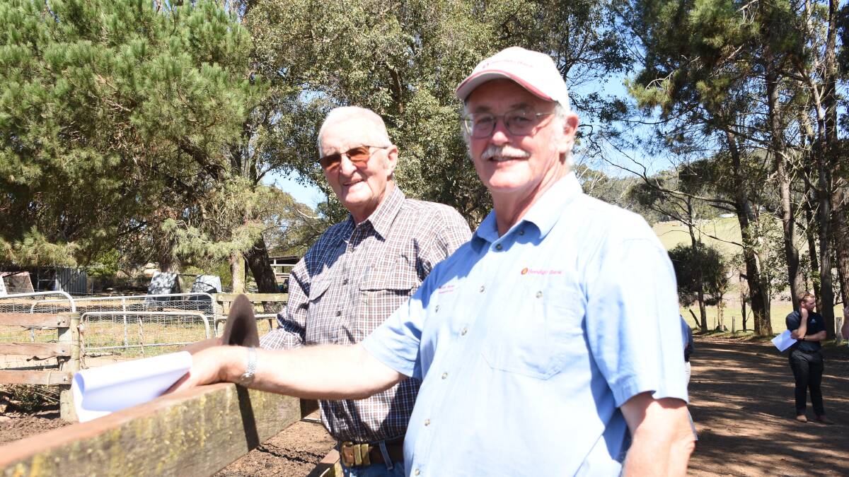 Looking over the challenge cattle in the feedlot were Joe Hetherington (left), Albany and Mt Barker producer and Bendigo Bank Mt Barker board chairman John Howard.