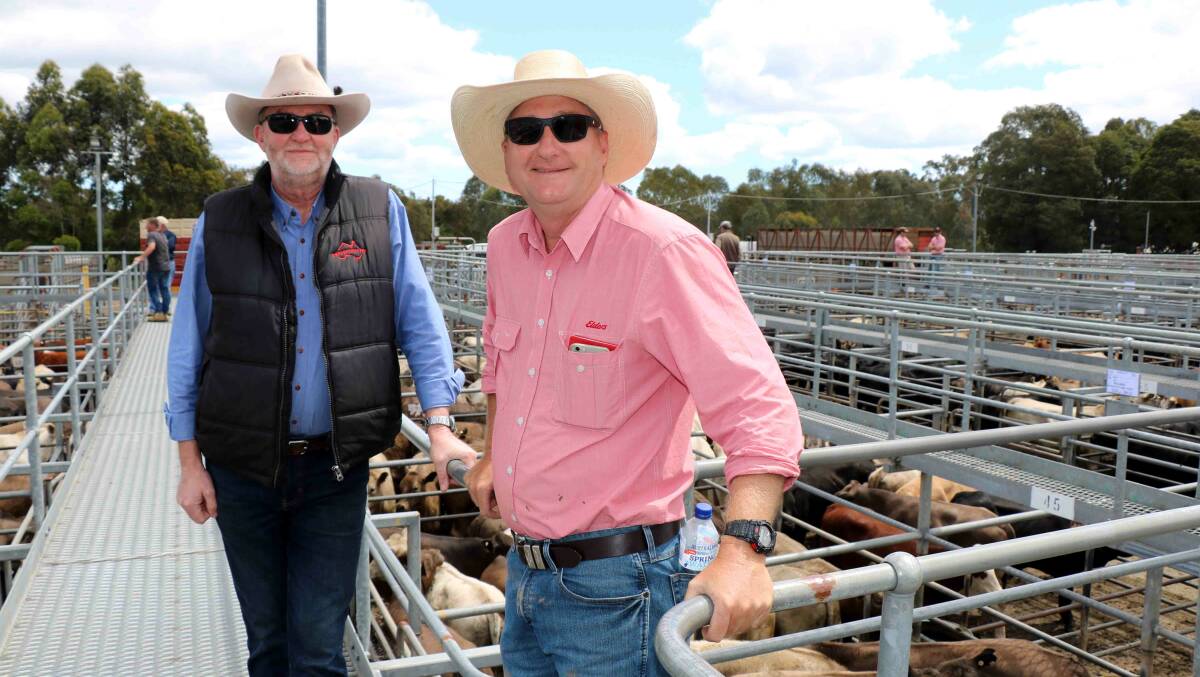 Vaughan Byrd (left), Alcoa Pinjarra, was at the cattle sale with Elders Waroona representative Wade Krawczyk.