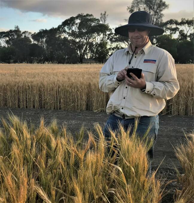Wheat breeder Scott Sydenham said that his main drive was to help growers to navigate common issues like pests, diseases and climate volatility.