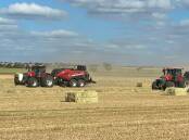 The Lyon family has been using Case IH balers for 25 years on its mixed farming business near Albany.