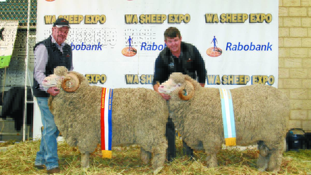 CHAMPION & RESERVE CHAMPION AUGUST SHORN FINE WOOL MERINO RAMS: Rangeview stud principals John (left) and Jeremy King, Darkan, with the stud's champion and reserve champion August shorn fine wool Merino rams.