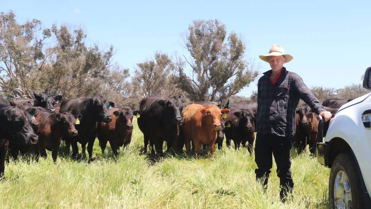 Rodney Wilson has been working the family farm at Bridgetown since 2009.