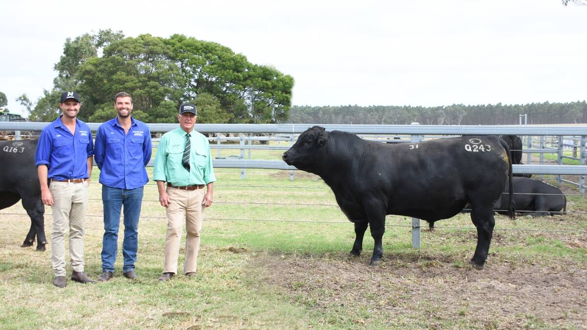 This Koojan Hills Angus bull sold for $18,500, the second top price in the sale, to Joe Davis, JP & J Davis, Manypeaks. With the bull after the sale on Monday were Koojan Hills co-principals Chris (left) and Tim Metcalfe and Nutrien Livestock, Great Southern manager Bob Pumphrey.