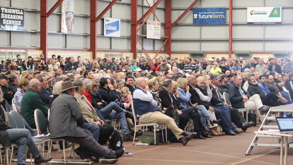 Part of the strong crowd that attended the live export forum in Katanning last July. At that meeting WA Agriculture Minister Alannah MacTiernan said the industry should consider a plan B for the future  a position she reiterated at the WA Shearing Industry Association conference in Perth recently.