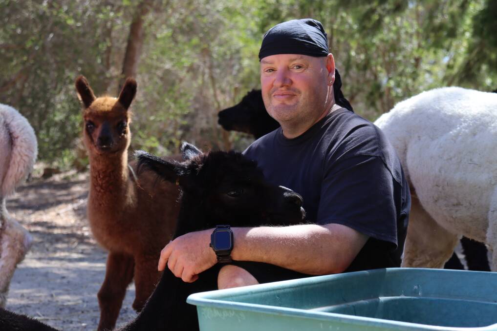 Paul Southam first owned alpacas in the 1990s when the animal was in high demand and cost about $20,000 each.