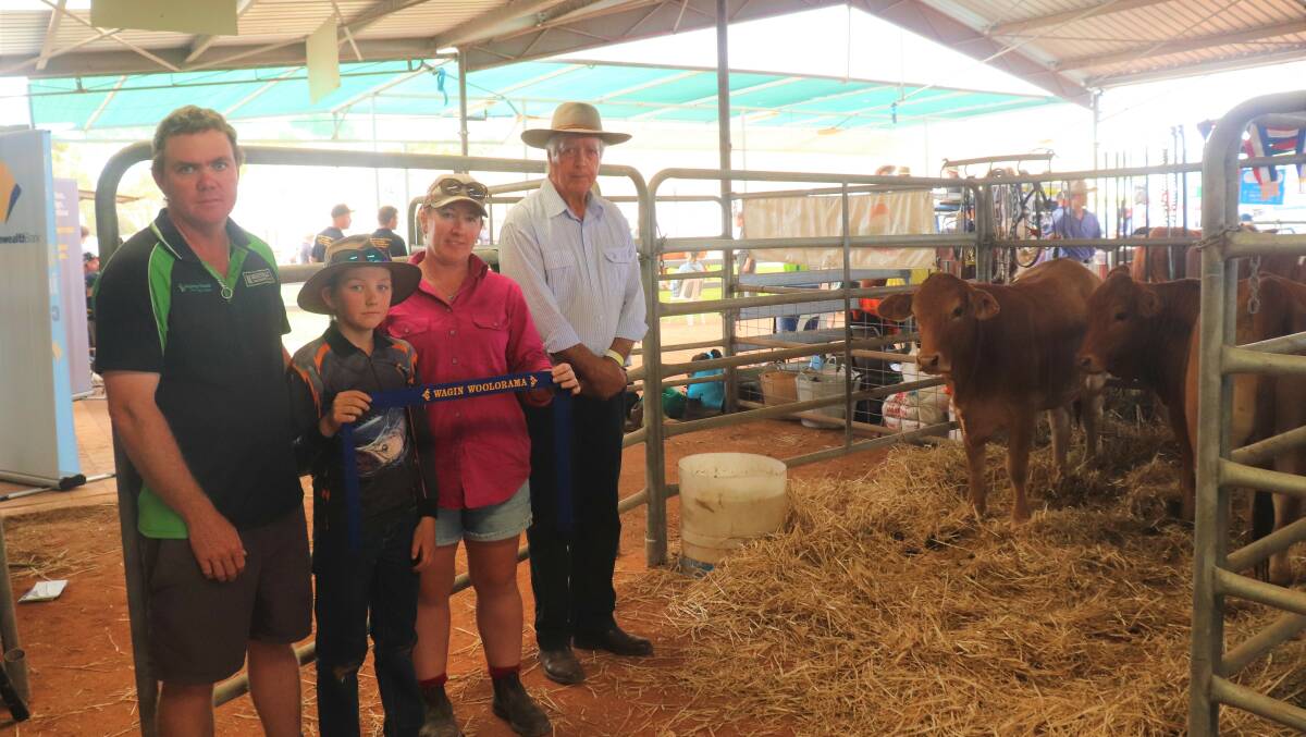  The Morrisvale stud, Narrikup, exhibited the champion pen of commercial unled heifers at this year's Make Smoking History Wagin Woolorama with this duo of Limousin-Droughtmaster cross females. With them were Morrisvales James Morris (left), son Spencer, wife Casey and judge Gary Buller, Monterey stud, Karridale.