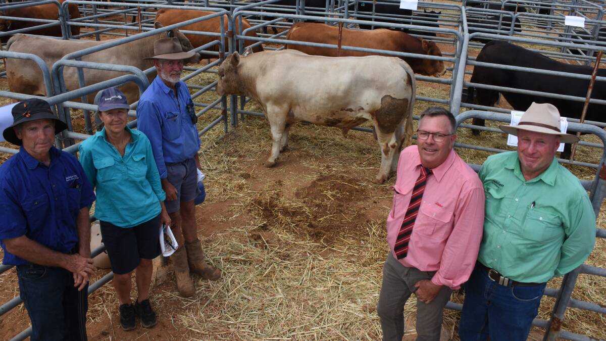 In the Stickland familys Mungatta Murray Grey stud, Wongan Hills, offering of bulls prices hit a top of $6000 three times. With one of the bulls to sell at $6000 were Mungatta co-principal John Stickland (left), buyers Rhonda Wybrow and David Wilson, Mikkelsen & Wilson, Dandaragan, who also bought one of the other $6000 Mungatta bulls, plus another at $5000, Elders stud stock representative Graeme Curry and Nutrien Livestock, Wongan Hills representative Grant Lupton. The third Mungatta bull to sell at $6000 was purchased by Warragenny Holdings, Toodyay.