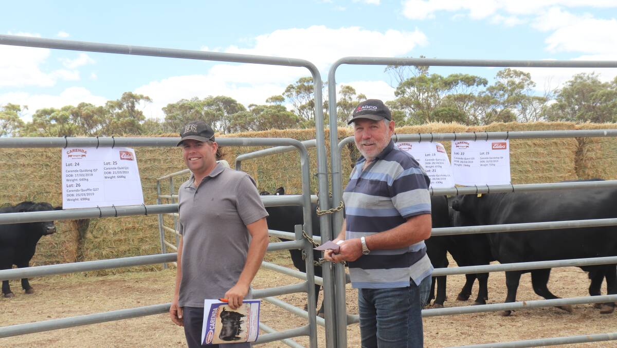  Luke Patterson (left), Albany and Lindsay Black, Albany, looking over the bulls before the sale at Katanning last week. By the completion of the sale Mr Black had secured one bull at $4250.