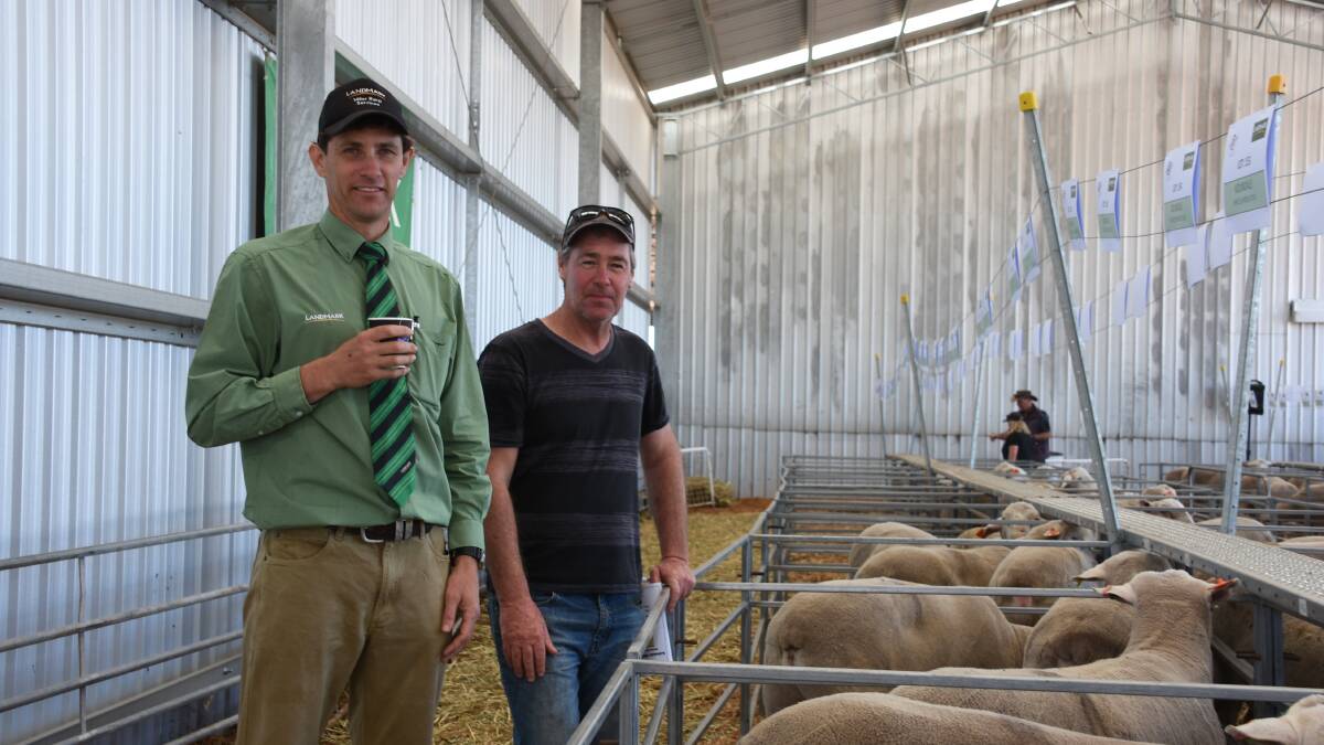Looking over the line-up of White Suffolk rams in the sale were Landmark Wickepin agent Ty Miller (left) and Michael Bennier, Wickepin. In the sale Mr Miller bought for a handful of clients while Mr Bennier secured eight White Suffolk rams at an average of $838.