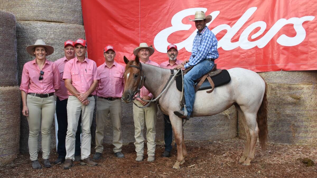 Elders team members Wayne Mitchell (left), Tatum Patteson, Michael Carroll, Michael Longford and Dean Hubbard with Adam Smith, Jubilee Downs Pastoral Co, Dandaragan, who bought this mare Tilly Tonga being ridden by preparer Jim Laverty, Collie, for $25,000. The mare was offered by Alan McKenzie, Pinjarra.