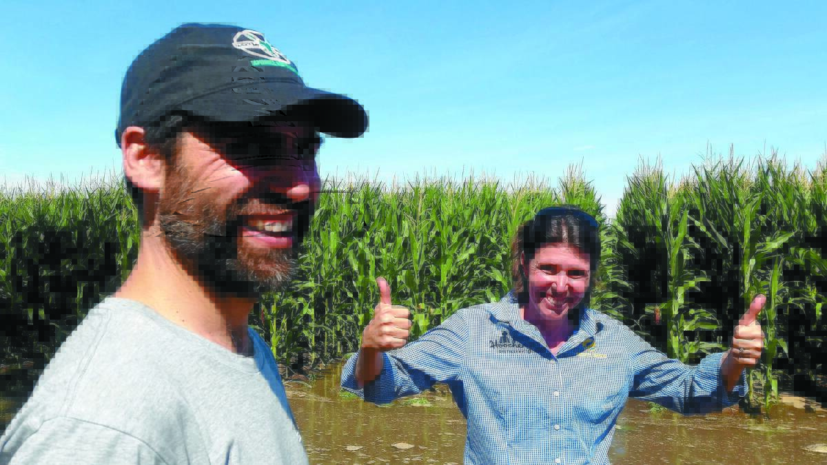 Nigel Metz of Lucky Bay Brewing and Kalyn Fletcher of Hoochery Distillery, joined forces to create the Beach to Boab corn beer.