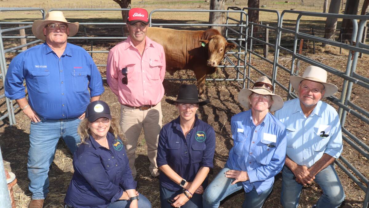 With the top-priced $15,500 bull, Summit Fleetwood S0108, is Zoetis area manager and sale sponsor Ben Fletcher, Elders Mt Barker agent Dean Wallinger with Summit Gelbvieh stud co-principals Alex Riggall (bottom left) and Clare King with the top price buyers, Tracie and Michael Borg, Michael Borg Investments, Maclagan, Queensland.