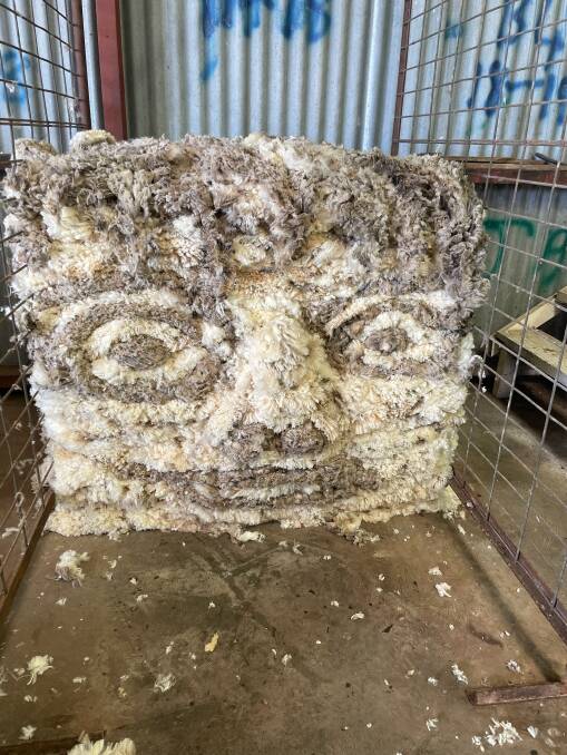 This face was crafted by woolclasser Natalie Bruce creatively folding and stacking about 500 bellies, a skill learned from New Zealand counterparts. The photo was entered by Westcoast Rural Geraldton-based wool and real estate representative Brian Hipper.
