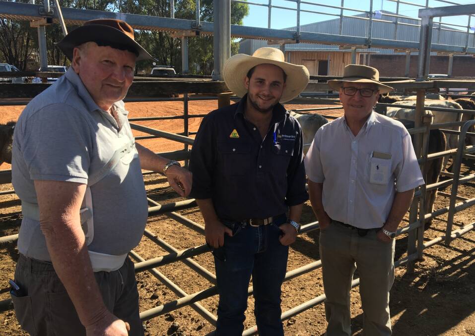  Buyer John Barber (left), Manjimup, Bradley Kammann, Primaries Manjimup and Orest Luzny, Elders Manjimup, at the combined agent's monthly cattle sale at Manjimup.