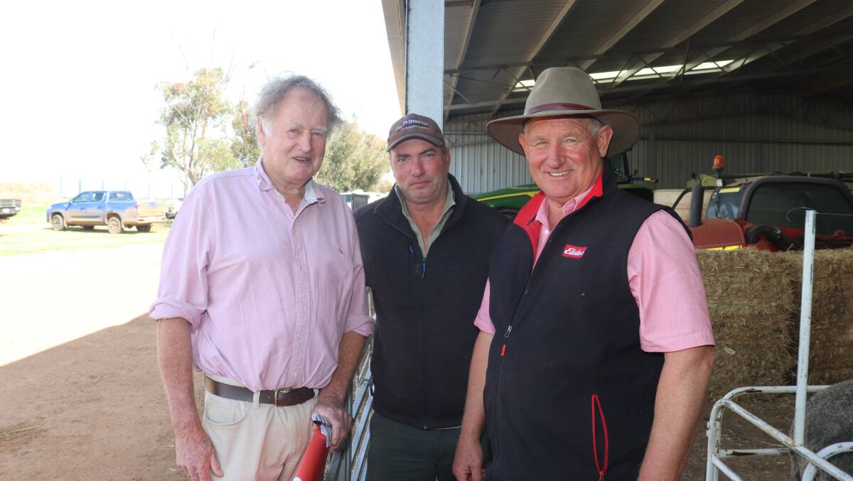 OKeeffe Farming, Gnowangerup, was the volume buyer in the sale, buying 21 rams at an average of $1500 and a top of $2300. It was Elders stud stock representative Russell McKay (right) that was purchasing rams on behalf of the OKeeffe family, with the help of their livestock overseer Lenny Sewell (centre) and Mianelups former stud principal Ross Richardson (left).