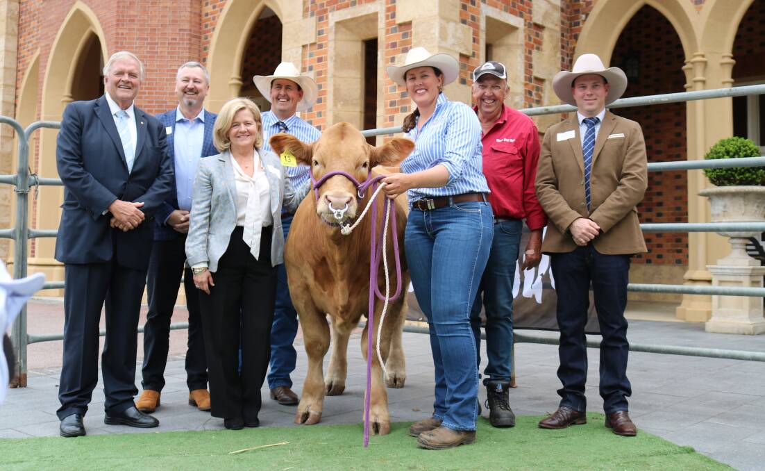 At Government House last with Charolais steer Winston 13 which sold for $11,000 in support of the Black Dog Ride charity auction were WA Governor Kim Beazley AC (left), Harvest Road general manager of agriculture Kim McDougall, buyer and co-chair of Minderoo Foundation and Tattarang Nicola Forrest AO, breeders Kevin and Morgan Yost, Liberty Charolais and Shorthorn studs, Toodyay, who donated the steer, charity auction co-founder Peter Milton and auctioneer, Cameron Petricevich, S & C Livestock.