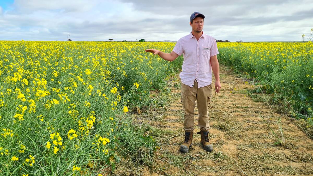  Latham farmer Dylan Hirsch hosted the main trial site and presented his own trial on early post emergent deep ripping canola.