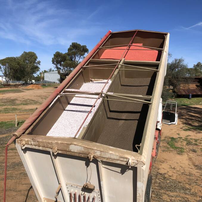 AgImports' three compartment tipping bin allows for wheat (as seen in top compartment), urea (left compartment) and compound fertiliser (right compartment) to be discharged via one of three doors at the rear into the air seeder's auger hopper.