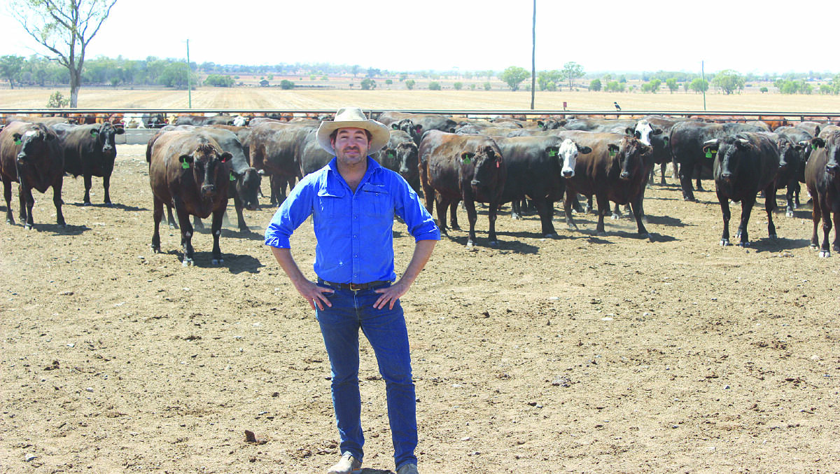 Australian Lot Feeders Association president Bryce Camm spoke at Better Beef 2019 last week about recent animal activist activity and how the red meat industry can deal with it.
