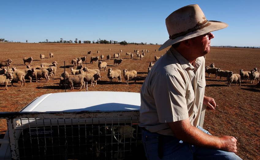 According to the latest Rabobank Rural Confidence Survey, 30pc of the WA's agricultural producers expect business conditions to decline in the year ahead.