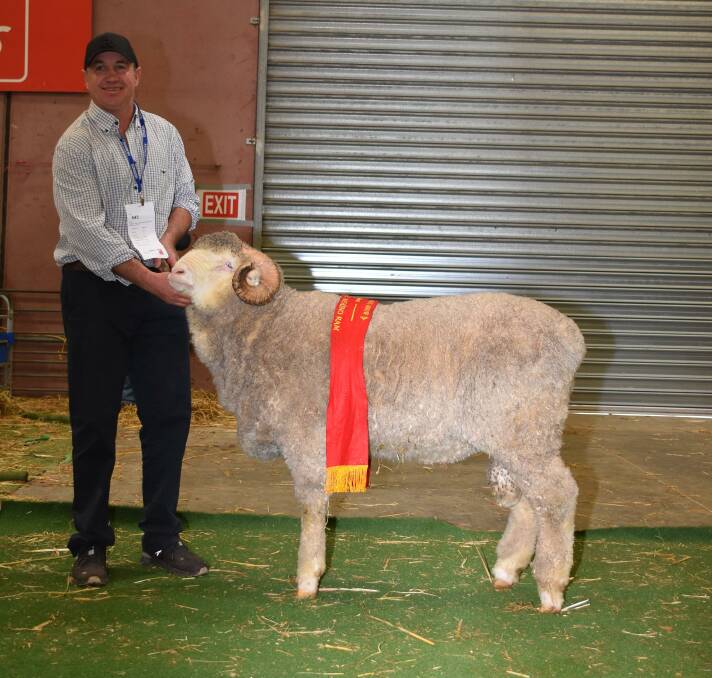  Eastville Park, Wickepin stud co-principal Grantly Mullin, with the studs reserve champion March shorn, strong wool Merino ram.