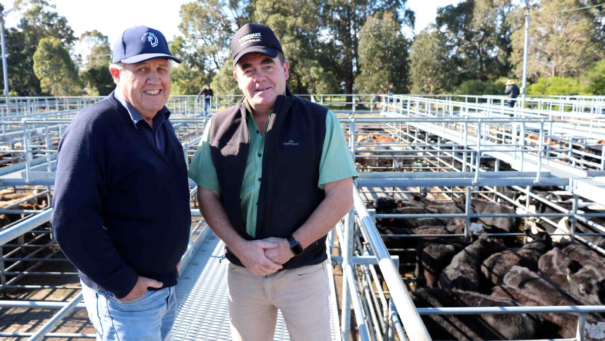David Depiazzi (left), Dardanup, was assessing the cattle at the Boyanup sale last week with agent Jamie Abbs, Landmark Boyup Brook. Mr Abbs purchased several pens during the sale.