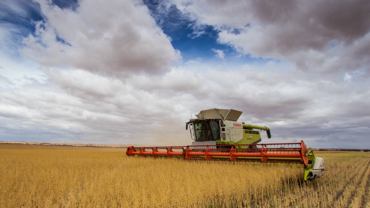  The final tonnage for the 2020/21 grain harvest has been put at 16.6mt  a fraction behind 2013 (16.9mt) and not far short of the record years of 2016 (18.1mt) and 2018 (17.9mt). Photo by Ruth Parkhouse, Yorkrakine.