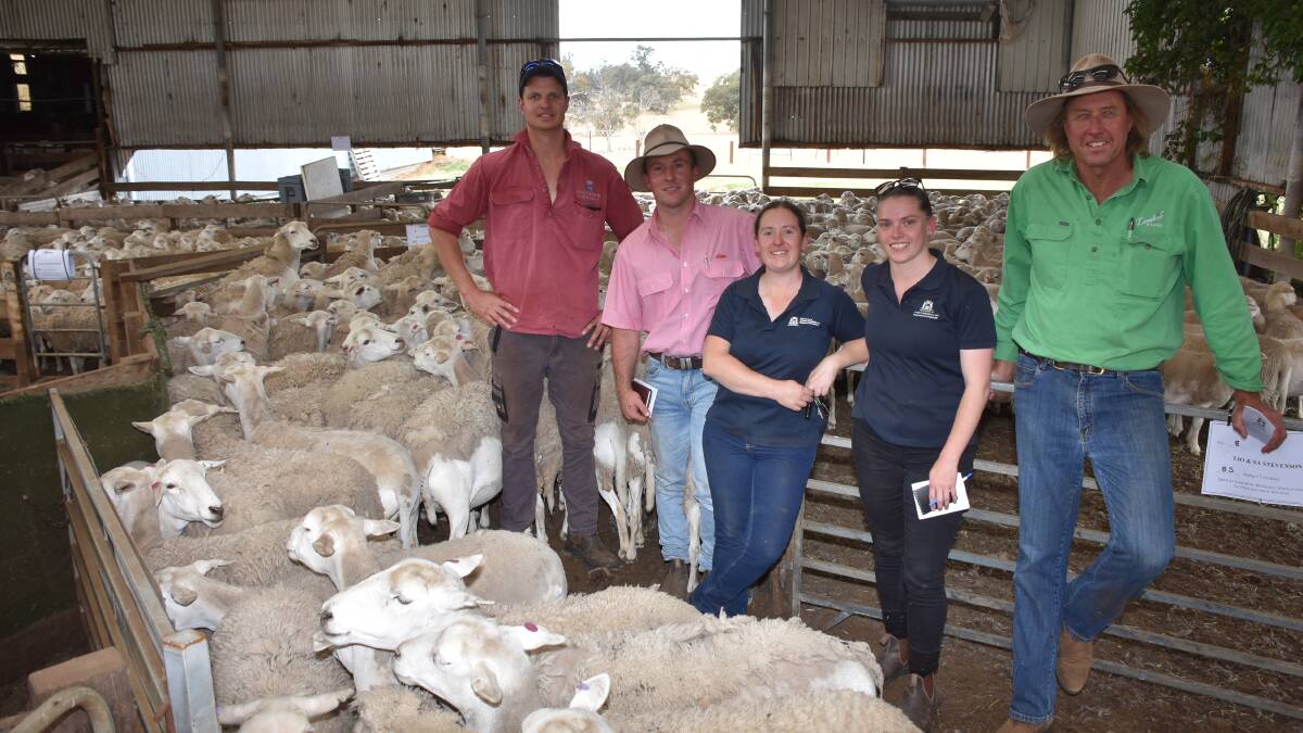 The Department of Primary Industries and Regional Development (DPIRD) Katanning Research Station purchased three lines of elite Riverside stud White Dorper ewes from the Stevenson familys flock reduction sale at Kojonup, including the sales top-priced line at $330. With one of the lines it purchased were the Stevensons Kojonup farm manager Bayden Reid (left), Elders Gnowangerup, representative James Culleton, DPIRDs Katanning Research Station manager Keren Muthsam and sheep technician Brittany Were and Nutrien Livestock, Wheatbelt agent, Livestock & Land, Rex Luers.