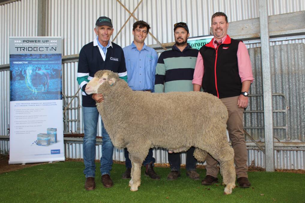 With the $7100 top-priced ram at the Coromandel Poll Merino on-property ram sale, where the stud celebrated 50 years of breeding, were Coromandel stud principal Michael Campbell (left), James Campbell, top price buyer Wayne Newbey, and Elders auctioneer Nathan King.