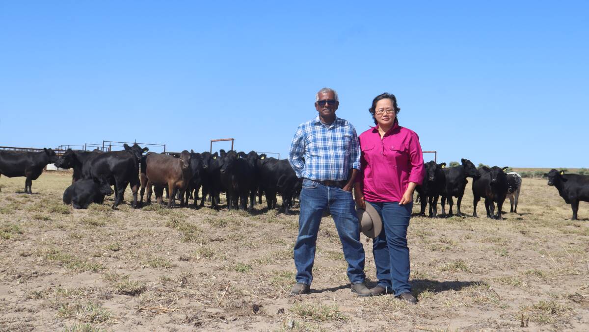  Sase Sangaran (left) and his wife Karen Tan use an holistic farming approach and incorporate technology into their enterprise which has proven to be a saviour on their 1100 hectare Mid West property over the past six years.
