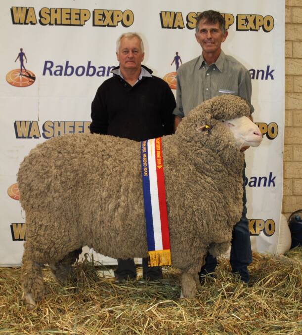 Topping the private ram sales at the Rabobank WA Sheep Expo & Sale at Katanning last week was this August shorn medium wool Poll Merino ram from the Coromandel stud, Gairdner, when it sold for $18,000 in partnership to the Darijon stud, Narrogin and the Sunny View stud, Wagin. With the ram is Darijon and Sunny View classer Ashley Lock (left), Landmark Narrogin and Coromandel stud principal Michael Campbell.