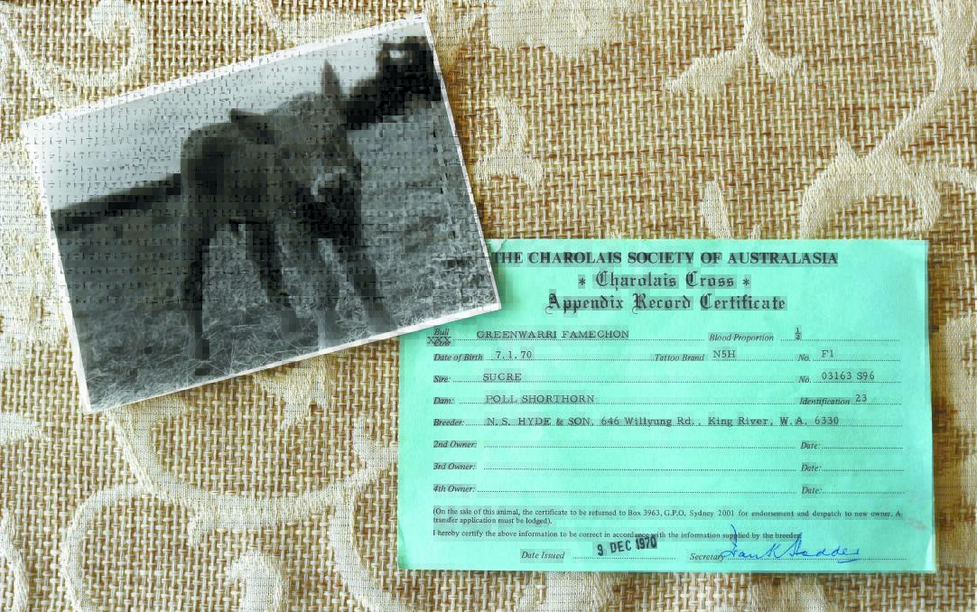  Johnny, the very first Charolais calf born in Australia, was a beautifully quiet calf which was always special to the Hyde family pictured here as a brand new calf with his official birth certificate.