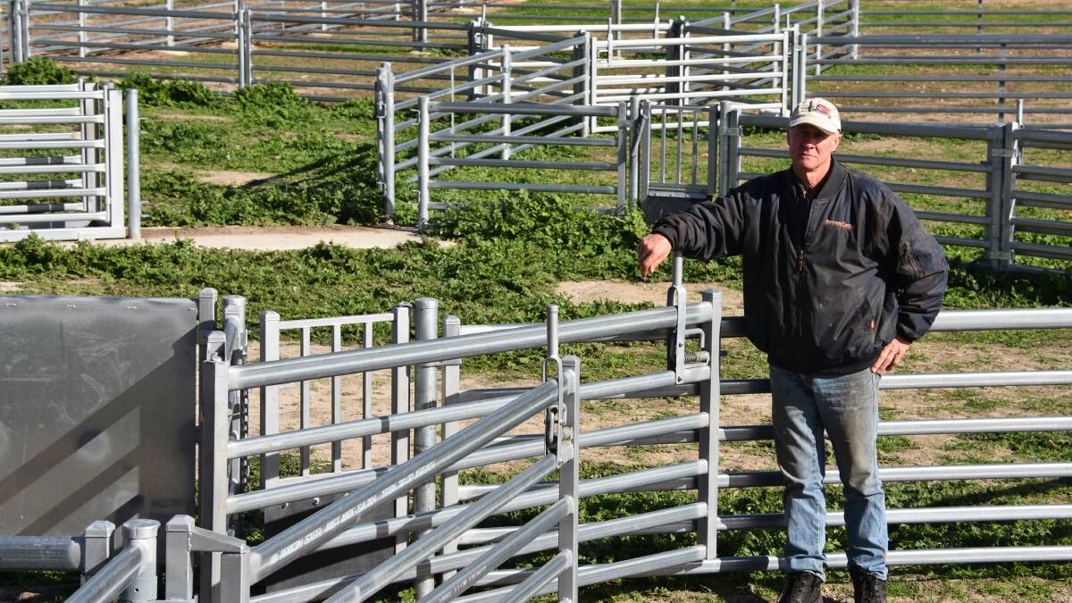 Michael Smith, Dumbleyung, in the family's new Commander Ag-Quip yards which were completed earlier this year, alongside a new six-stand shearing shed built by Price's Fabrication & Steel, Williams.