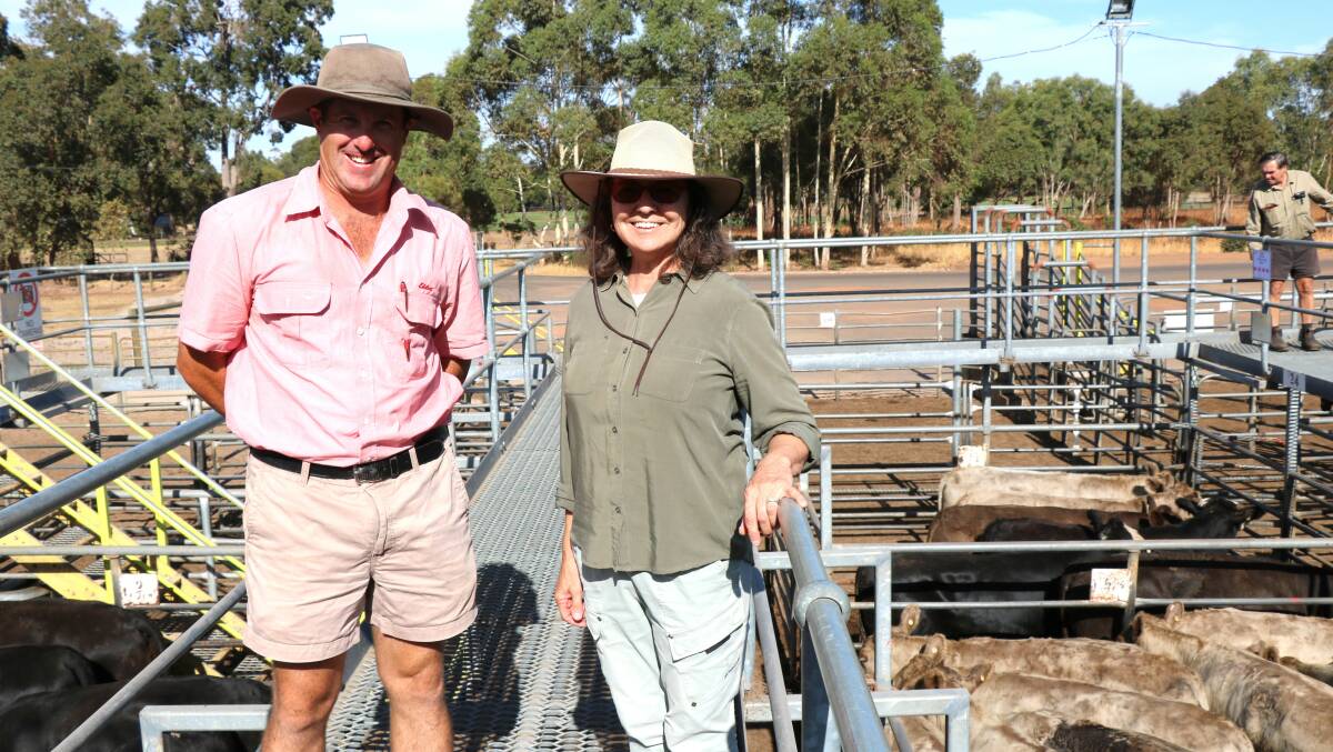  Elders, Brunswick/Harvey agent Craig Martin (left) was with client Cim Sears, Cookernup, checking the cattle before the sale where Mr Martin bought several pens for clients.