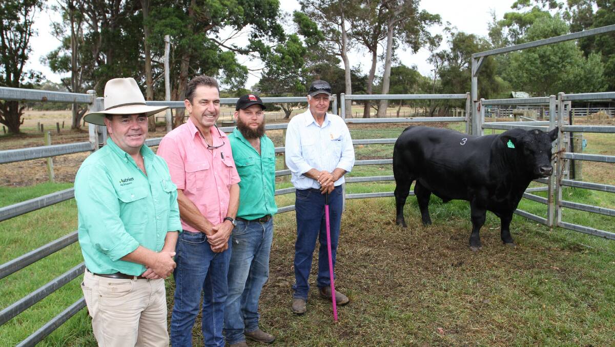 With the $12,000 top-priced bull Monterey Paratrooper P90 at the 28th annual Monterey Murray Grey and Angus on-property production sale at Karridale were Landmark Boyup Brook agent Jamie Abbs (left), Elders Margaret River agent Alec Williams, Monterey Scott River manager Morgan Gilmour and Monterey stud principal Gary Buller. The bull was purchased by Mr Abbs for an undisclosed buyer.