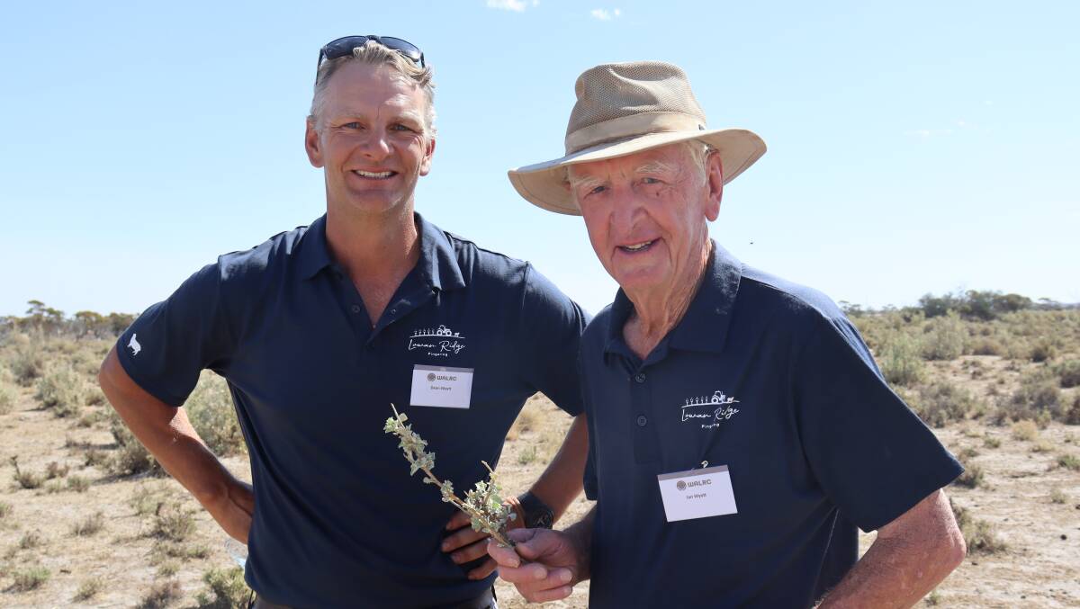  Dean Wyatt (left) and his father Ian Wyatt hosted the WA Livestock Research Councils Livestock Matters forum last week, which focused on shade and shelter.
