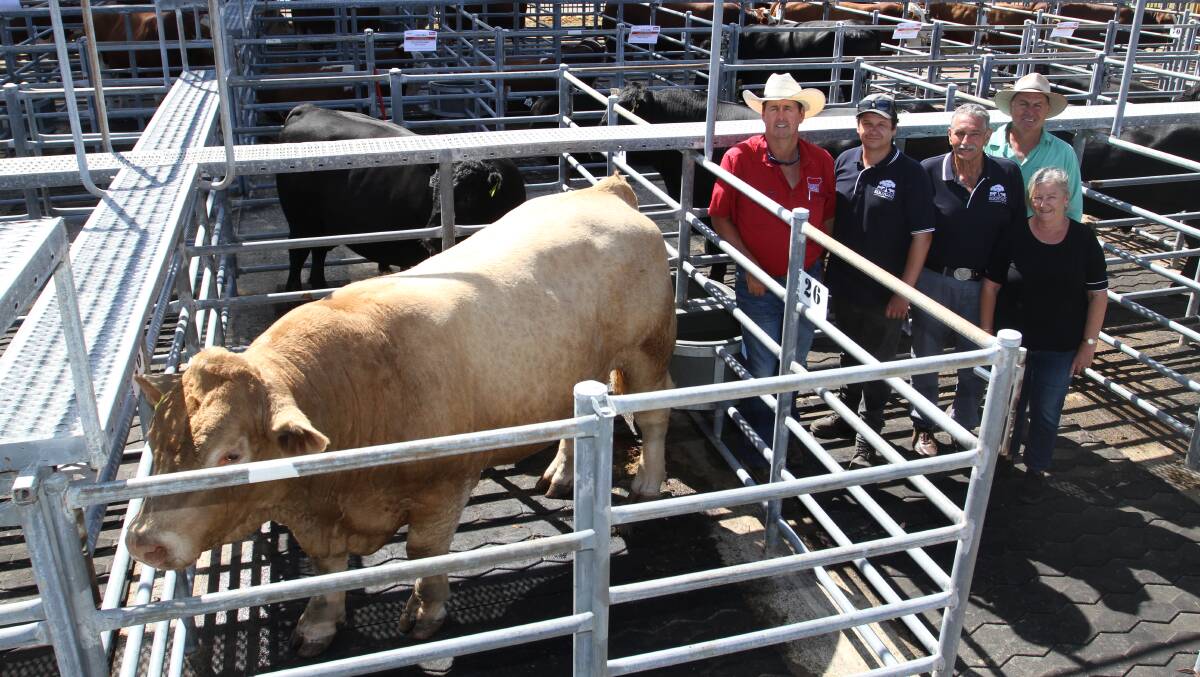 The $15,000 top-priced Charolais bull was sold by the Ellis familys Kooyong Charolais stud, Coolup. With the bull Kooyong Solid Gold S25 (AI) (P) (RF) (by Glenlea Just Red J5) were buyer Kevin Yost (left), Liberty Charolais stud, Toodyay, Cameron, David and Jan Ellis, Kooyong stud and Nutrien Livestock, Waroona agent Richard Pollock.