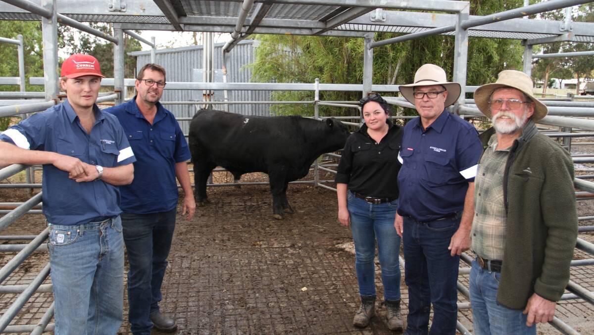 With the $10,500 equal top-priced Hydillowah Angus bull at its annual yearling bull sale held at Nutrien Livestock's store cattle sale at Boyanup were Rohan Obst (left), Hydillowah Angus, Hyden, buyer Kim Dunnet, OM Dunnet & Co, Nannup, Claire Green, Vern Mouritz and Col Wright, Hydillowah Angus.