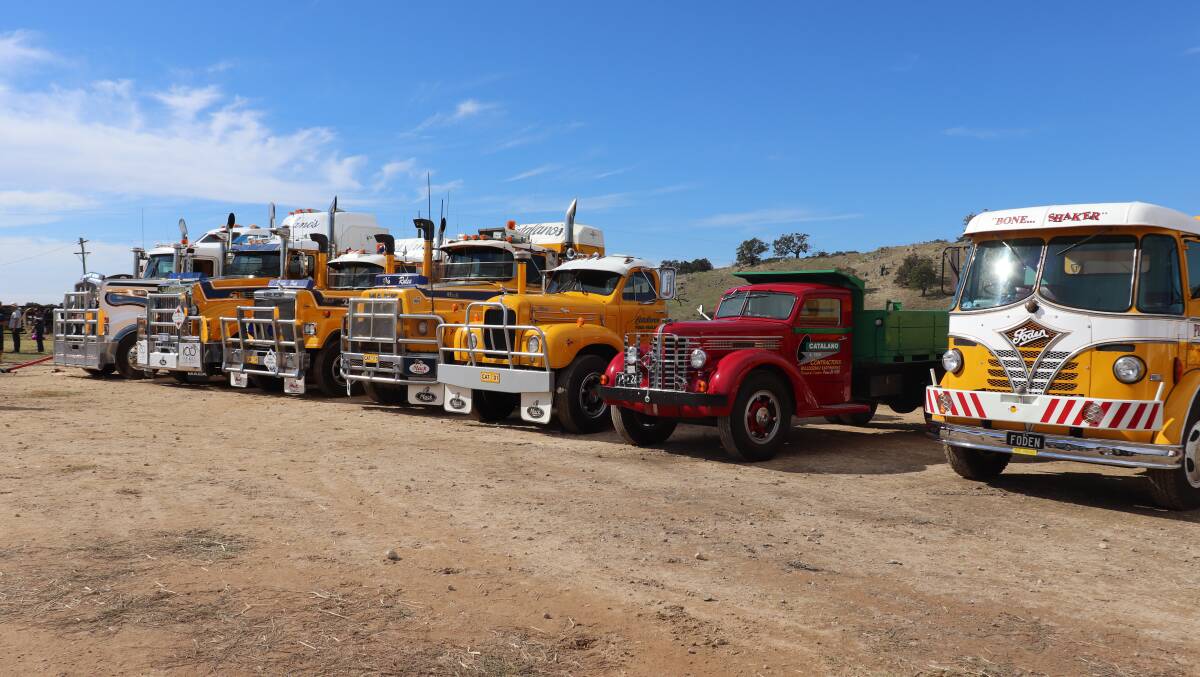 Catalano's line-up of trucks at the vintage rally at Brunswick.