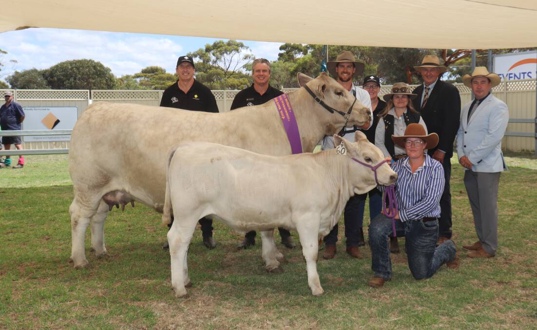  The Wise familys Southend Murray Grey stud, Katanning, had a show to remember when they dominated the major awards at the Commonwealth Bank Cattle Expo at this years Wagin Woolorama, capping it off with the supreme cattle exhibit, grand champion multibreed senior cow and champion British Breed senior cow. With their six-year-old cow Southend Reflection and her heifer calf were Commonwealth Banks Joe Galantino (left) and Brendon Kay, with Southend Murray Grey stud co-principal Kurt Wise, Commonwealth Banks Tina Moroney and Sienna Bergersen with judges Peter Collins, Merridale Angus stud, Tennyson, Victoria, and Rob Onley, Candy Mountain Cattle, Noorat, Victoria and handler (kneeling) Jayne Thompson.