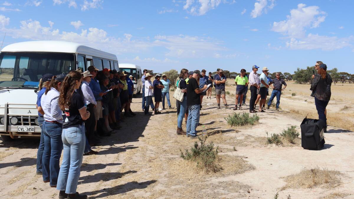  About 50 producers were given insight into the Wyatts enterprise, at the WA Livestock Research Councils Livestock Matters forum.